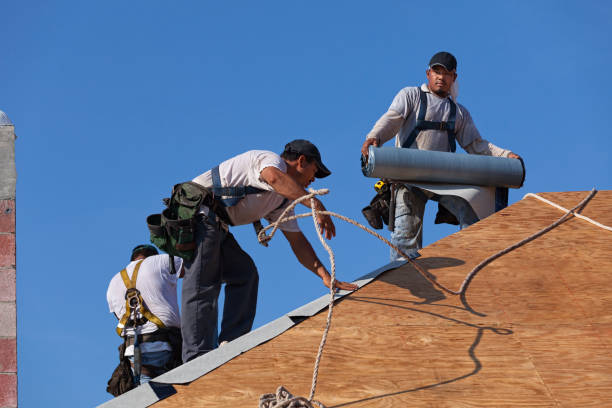 Best Roof Repair Services  in Crivitz, WI