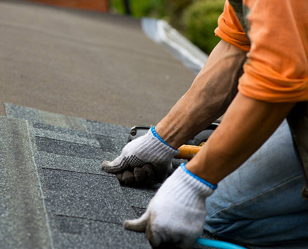 Best Metal Roofing Contractor  in Crivitz, WI